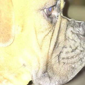 Meet your Posher, Alison